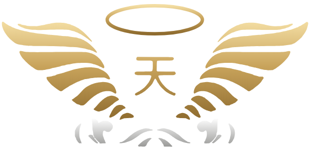 Heavenly Chariots winged halo emblem